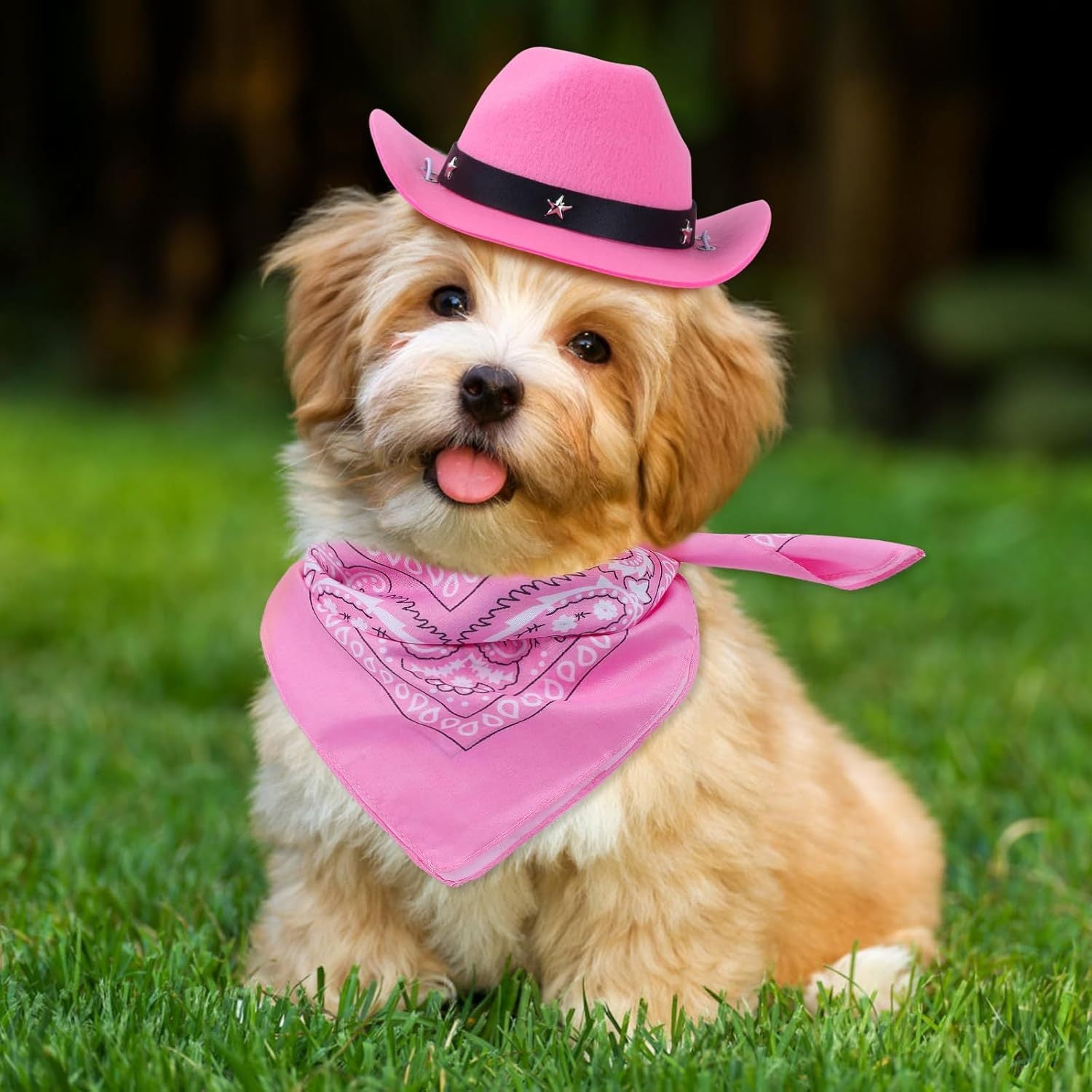 Cat Cowboy Costume Cat Cowboy Hat And Bandana Set Cat Halloween Costumes Cowboy Cat Pet Costume Funny Halloween Costumes For Cats Kittens Pets