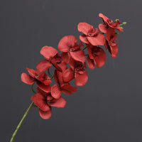10heads red