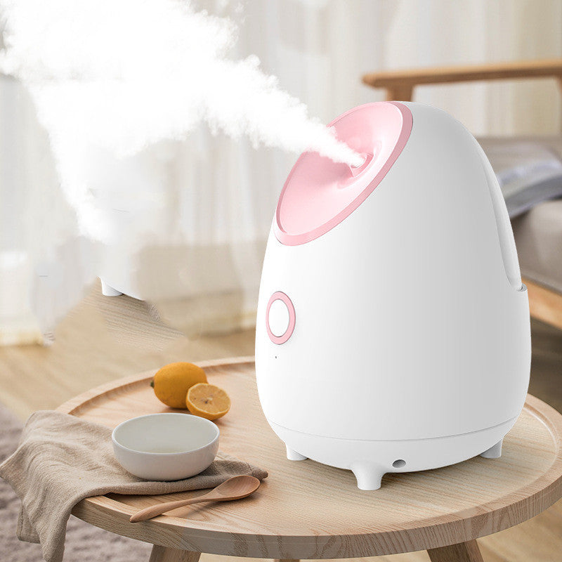 Hot Spray Facial Steamer Portable Beauty Device for Skin Care