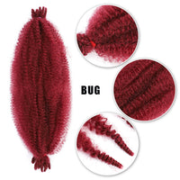 BUG
